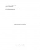 IP2801 Administración de la Producción