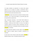 La Industria Cosmética Debería Estar Prohibida De Testear Con Animales