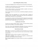 Aspecto Radiográfico del Hueso Alveolar