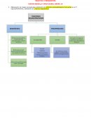 PRÁCTICA 3 PSIQUIATRÍA