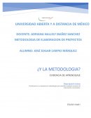 Metodología de los proyectos de intervención comunitaria