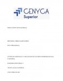 Actividad Ética profesional Reflexión sobre un ejemplo negativo