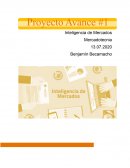 Inteligencia de Mercados Mercadotecnia