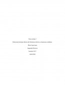 Tarea semana 1 Relacionar principios básicos del fenómeno eléctrico a situaciones cotidianas