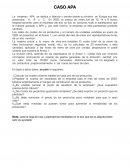 CASO APA