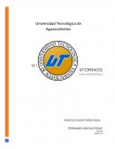 Análisis del entorno. Matriz Pestel, Análisis de las 5 fuerzas de Porter, Matriz FODA
