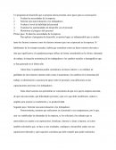 PROGRAMA DE DESARROLLO PRÁCTICA CEUPE