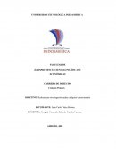 Artículo 76 y 77 de la constitución del Ecuador