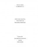Informe de Auditoría CIA HIPOTETICA S.A.