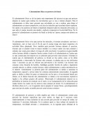 Calentamiento físico en porteros de futsal