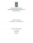 Compañia prechaza -dioxido de titanio