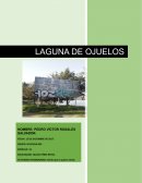 Actividad Integradora La laguna de Ojuelos