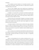 Peoyecto : producción de hidrógeno