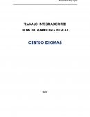 Plan Marketing Digital