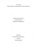 Indicadores aplicados a los estados financieros de Enka de Colombia S.A