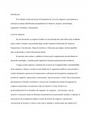 Reporte del Acuerdo sobre Políticas Públicas de eventos