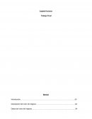 Capital Humano Trabajo Final