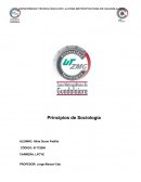 USOS Y COSTUMBRES DE LOS PUEBLOS INDÍGENAS