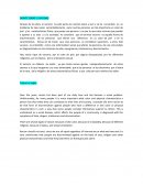 DEBATE SOBRE EL RACISMO