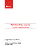 Planificando su negocio El proceso de planificación tributaria