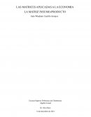 LAS MATRICES APLICADAS A LA ECONOMIA LA MATRIZ INSUMO-PRODUCTO