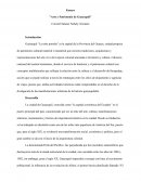 Ensayo - Arte y Patrimonio de Guayaquil