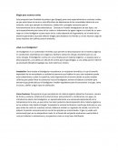 Biogás para sectores rurales