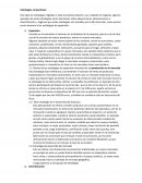 Estrategias corporativas