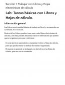 Trabajar con Libros y Hojas electrónicas de cálculo