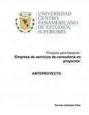 Empresa de servicios de consultoría en proyectos
