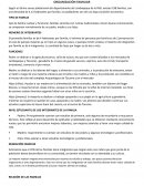 ORGANIZACIÓN FAMILIAR