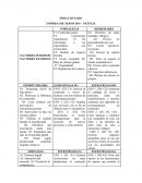 FODA CRUZADO EMPRESA DE SERVICIOS – NETFLIX