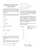 RIGIDEZ DE MUROS Y COLUMNAS
