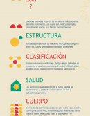 Polímeros usados en Humanos