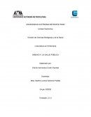 Ensayo cancer cervicuterino