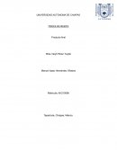 Historia del derecho Producto final