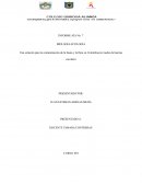 Una solución para la contaminación de la fauna y la flora en Colombia por medio de huertas escolares