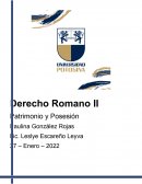 Posesion y Patrimonio en derecho romano