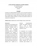 LA EVOLUCIÓN DEL CRÁNEO EN LOS SERES HUMANOS