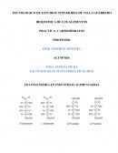 BIOQUIMICA DE LOS ALIMENTOS. PRACTICA: CARBOHIDRATOS