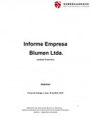 Informe Empresa Blumen Ltda. (Análisis Financiero)