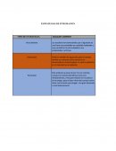 ﻿Estrategias de integracion Aguacate Company