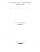 PLAN DE CONTINGENCIA PARA EL EVENTO DE AFLUENCIA MASIVA