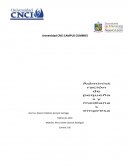 Administracion de pequeñas y medianas empresas