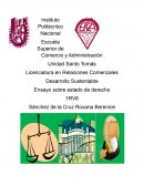 Ensayo sobre estado de derecho