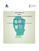 TEORIA DEL DESEQUILIBRIO DE PIAGET