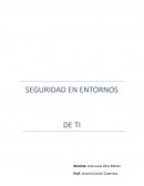 SEGURIDAD EN ENTORNOS DE TI