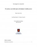El canelazo, una bebida típica del altiplano Cundiboyasence