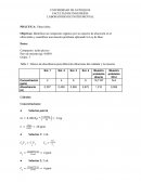 Informe Ultravioleta