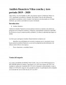Análisis financiero Viñas concha y toro periodo 2019 – 2020